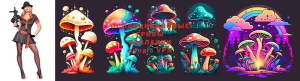 а пвп мука Аркадак