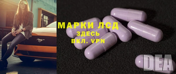 сатива Балахна