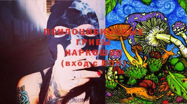 молекула духа Арсеньев