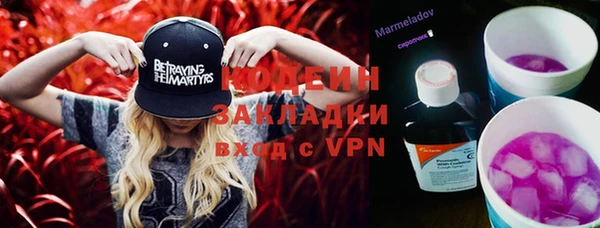 молекула духа Арсеньев