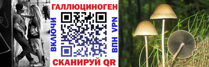 Галлюциногенные грибы Psilocybine cubensis  гидра зеркало  Протвино  купить наркотики цена 